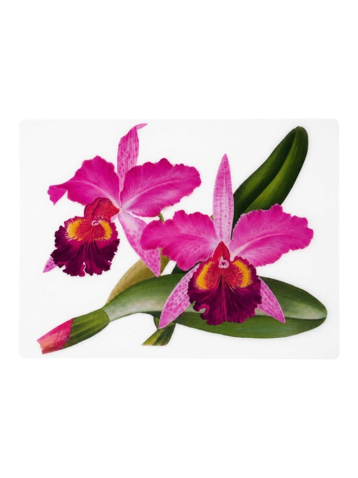 RECTANGULAR PLACEMATS