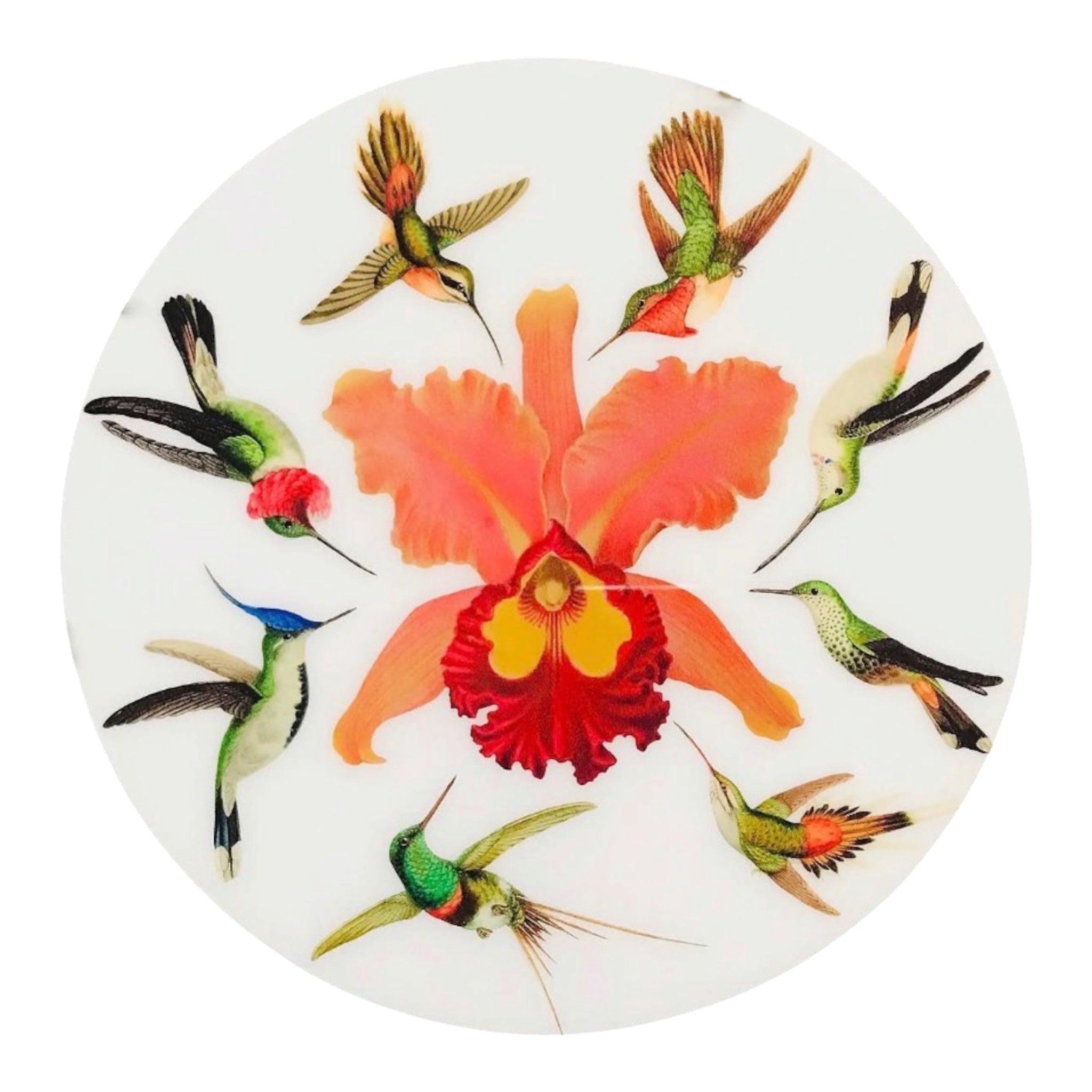 Rotatin Nature Collection