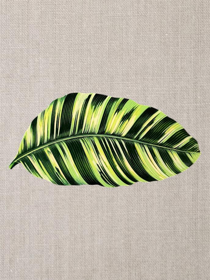 Tropical Leaf – Handcrafted Banana Leaf Resin on Wood Decor | TABLE ON TABLE