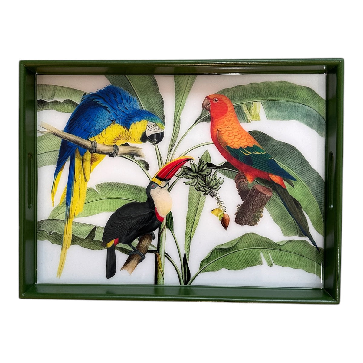 Amazonia Handcrafted Resin and Wood Tropical Decorative Serving Tray