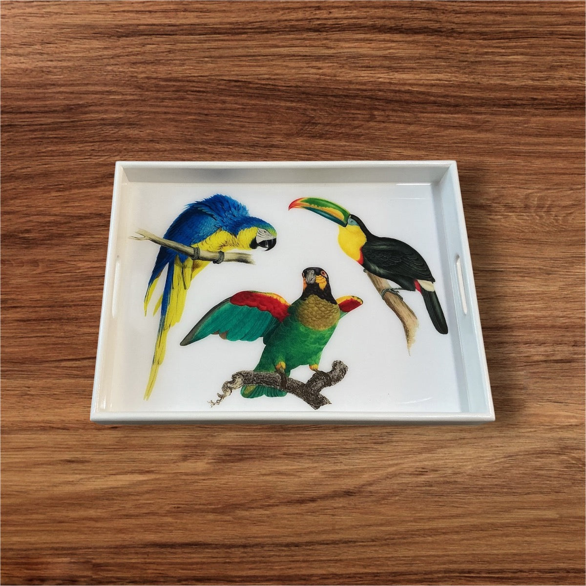 Tropical Bird Serving Tray Handcrafted Resin on Wood
