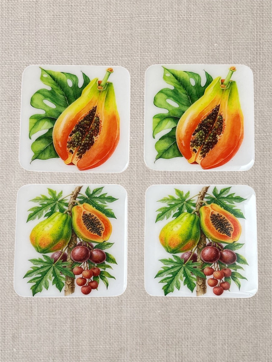 Tropical Papaya & Exotic Fruits Luxury Coasters – Handcrafted Resin-on-Wood