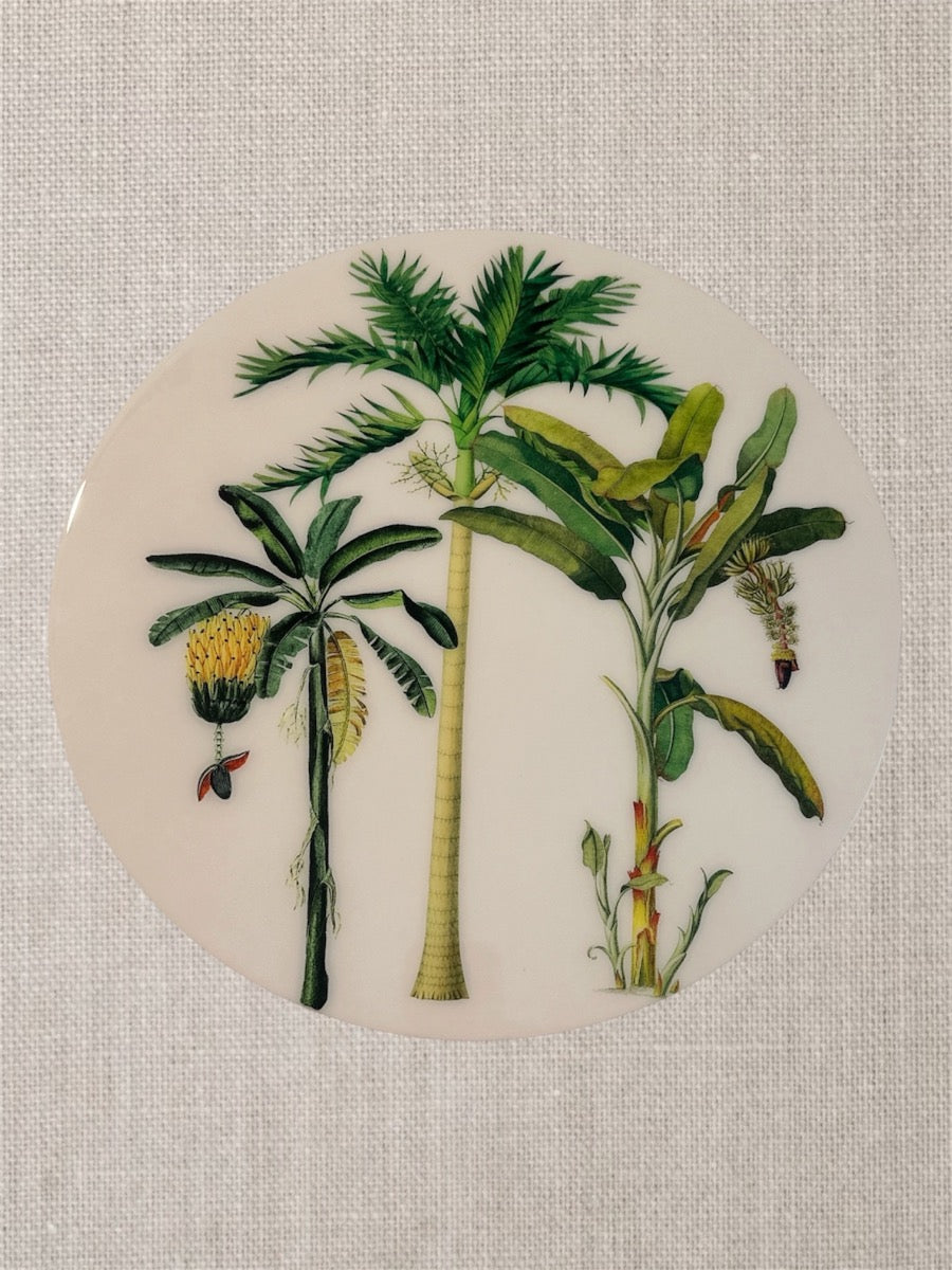 Manteles individuales redondos botánicos de palmeras tropicales