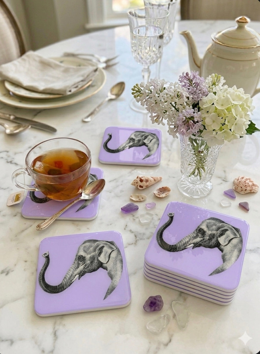 Safari  Elephant Coaster