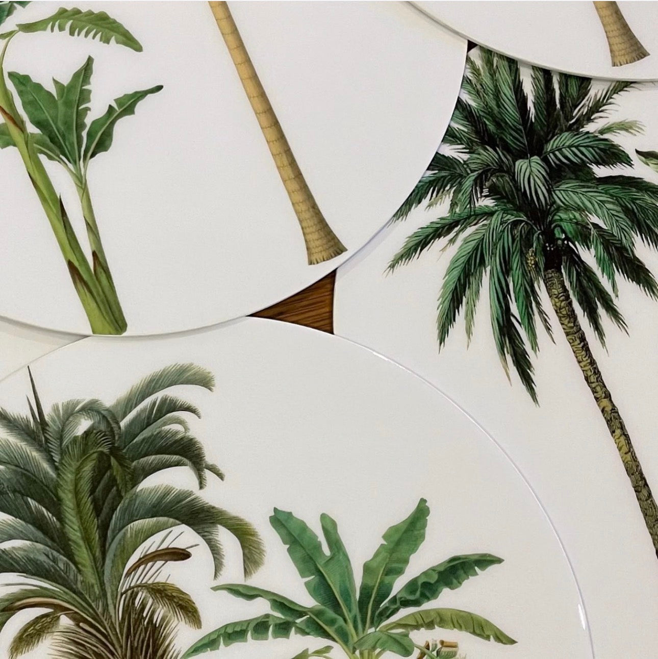 Manteles Individuales Redondos de Palmeras Tropicales Botánicas | Colección Elegancia Tropical