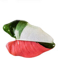 Anthurium Botanica Centerpiece | Handmade Resin Art on Wood