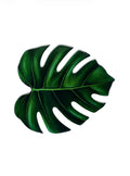 Green Monstera Leaf Luxury Centerpiece – Handcrafted Resin-on-Wood