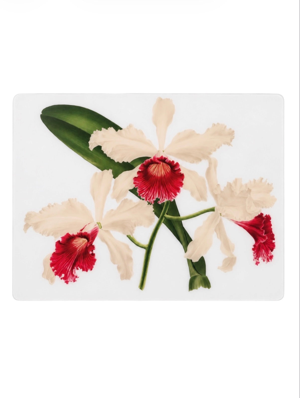 White Orchid Rectangular Placemats | Handmade Resin Table Decor