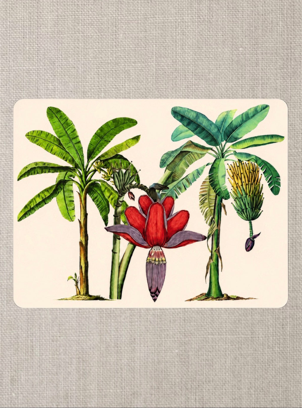 Handmade Tropical Banana Leaf Placemat