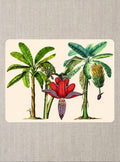 Handmade Tropical Banana Leaf Placemat