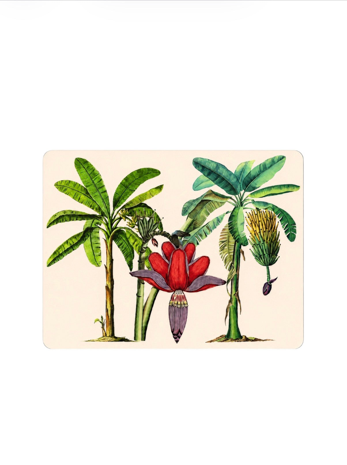 Handmade Tropical Banana Leaf Placemat