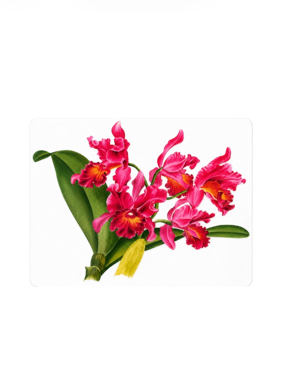 Floral Red Elegance Placemats  – Handcrafted Botanical Resin |  30x40 cm