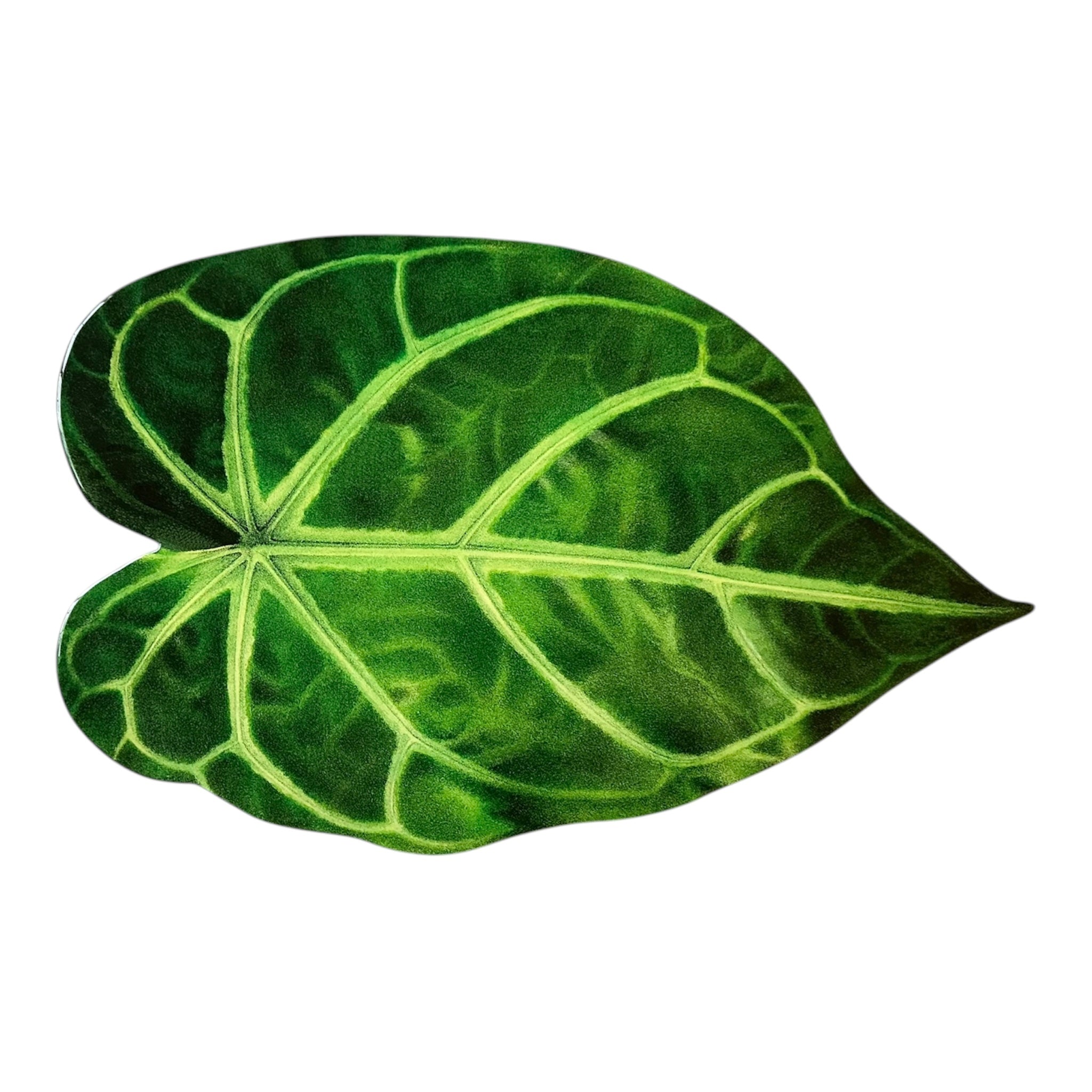 Artisan  Centerpiece:Velvet Anthurium Leaf
