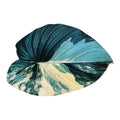 Variegated Heart Leaf – Handcrafted Botanical Resin on Wood | TABLE ON TABLE