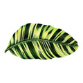 Tropical Leaf – Handcrafted Banana Leaf Resin on Wood Decor | TABLE ON TABLE