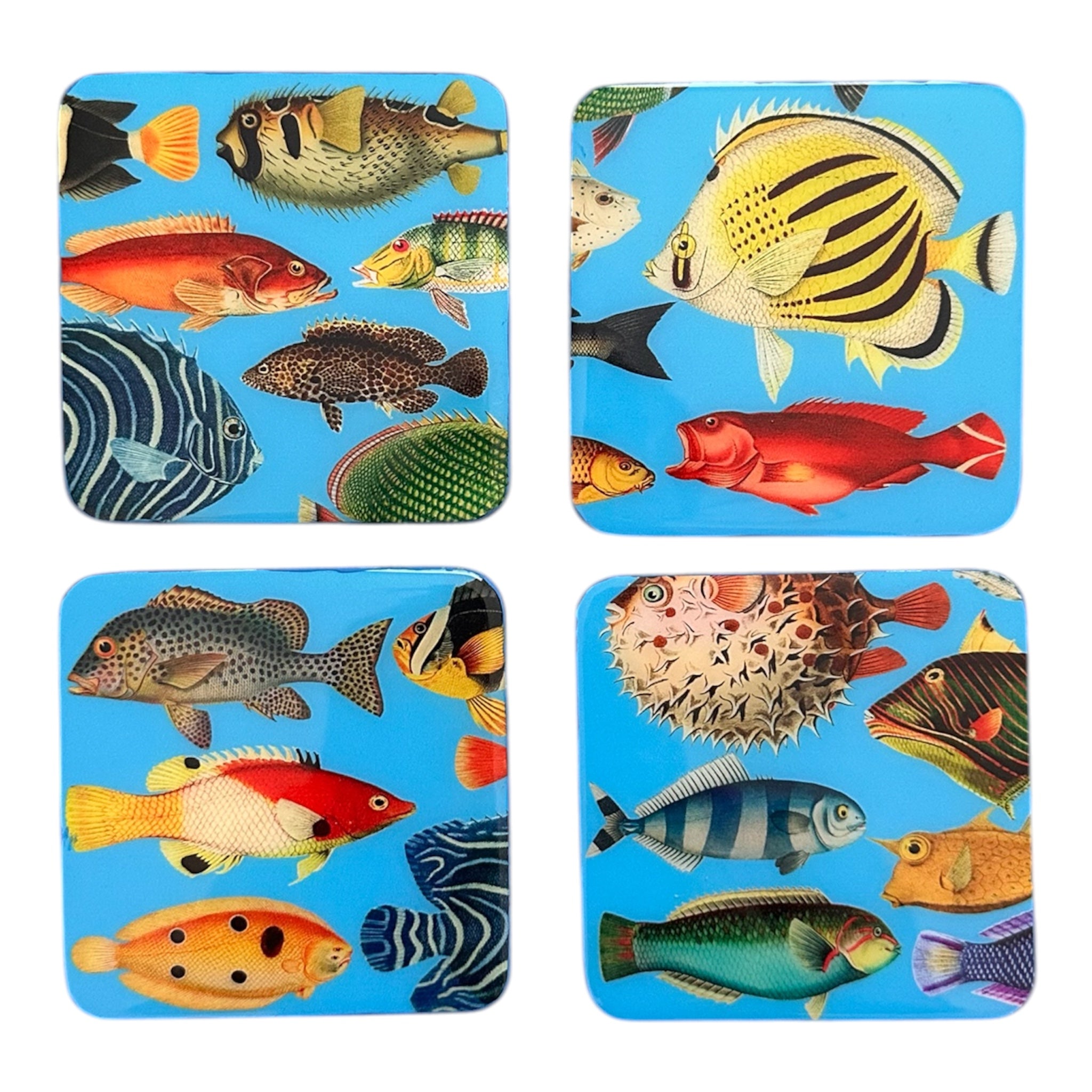 Artisanal Coasters: Marine Life Collection