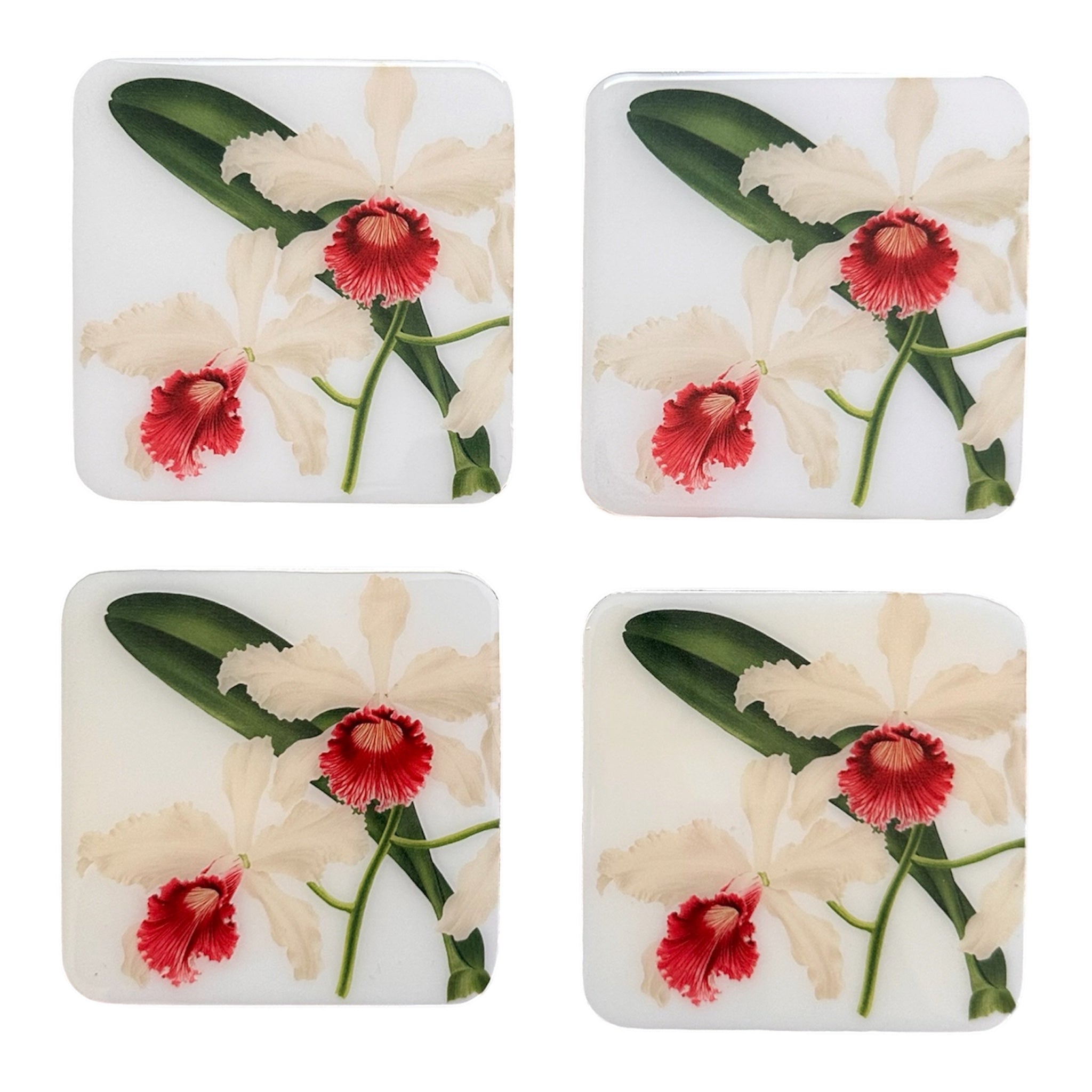 Cattleya Blanche – Handcrafted Botanical Resin Coasters | TABLE ON TABLE