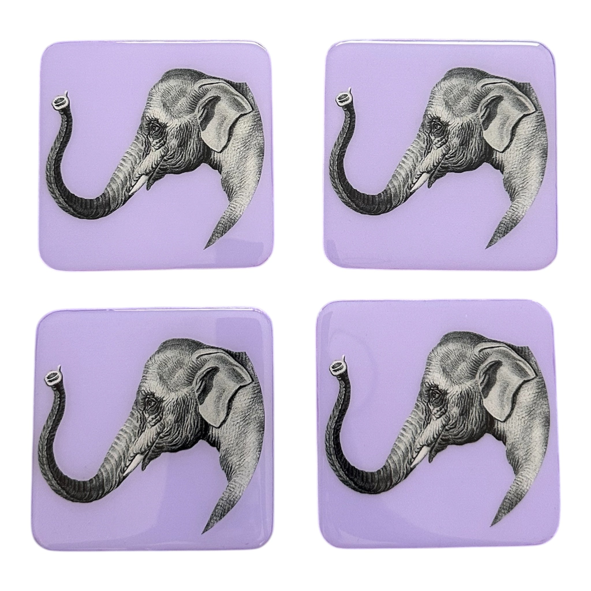 Safari  Elephant Coaster