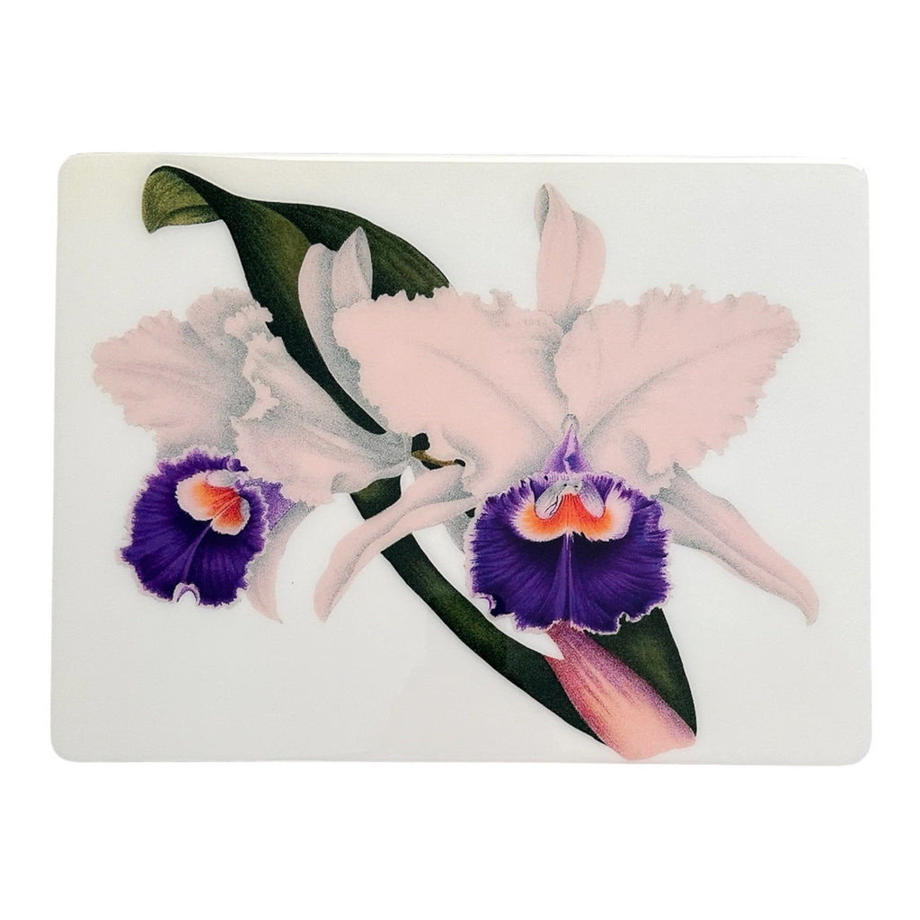 White and  Purple Orchid Collection   Placemat