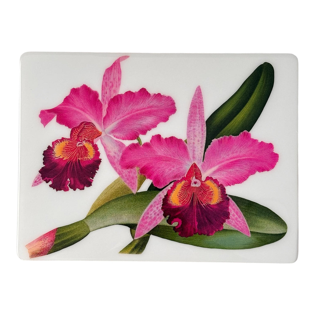 Orchid Rose Collection- Placemats