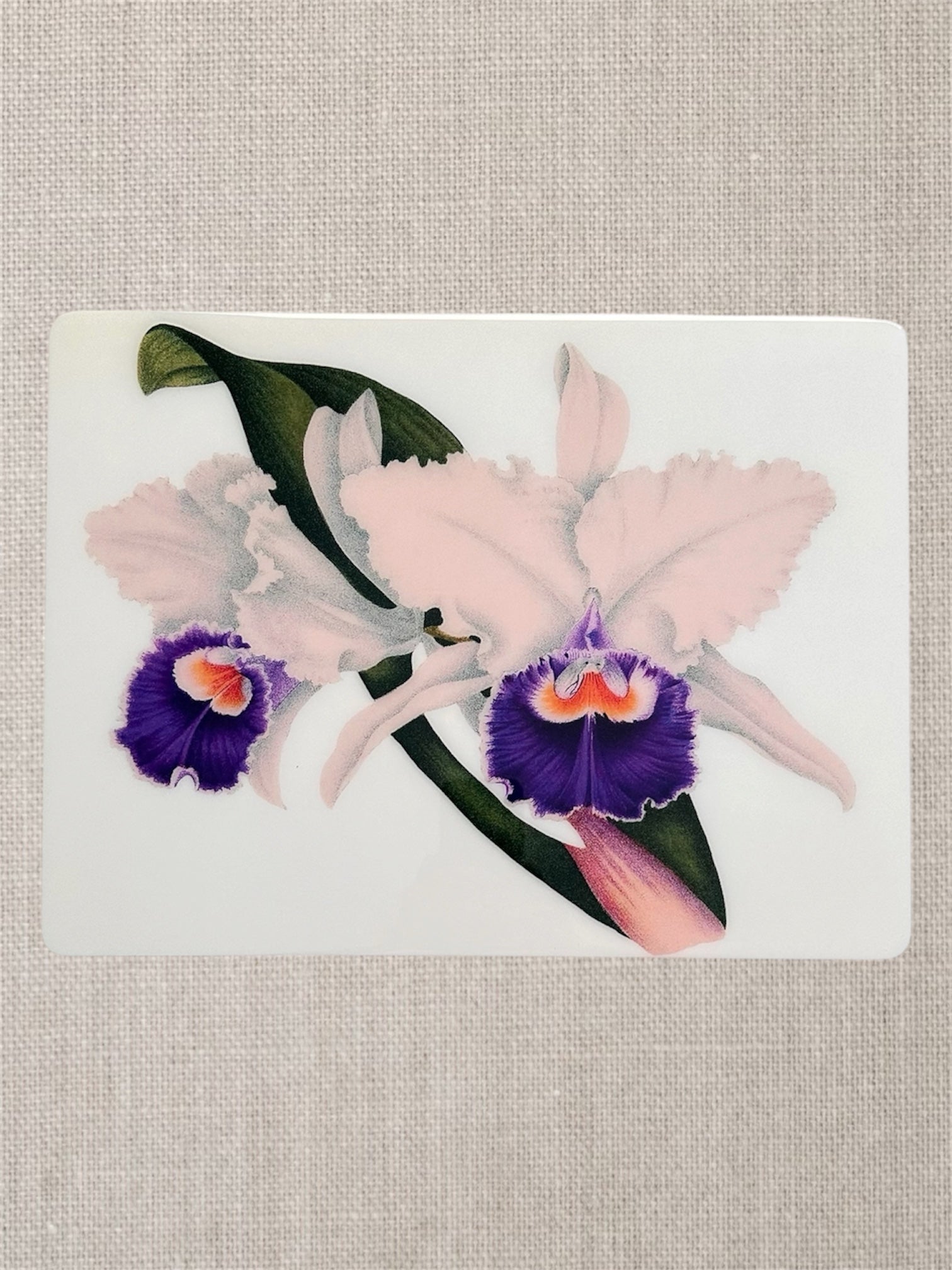 White and  Purple Orchid Collection   Placemat