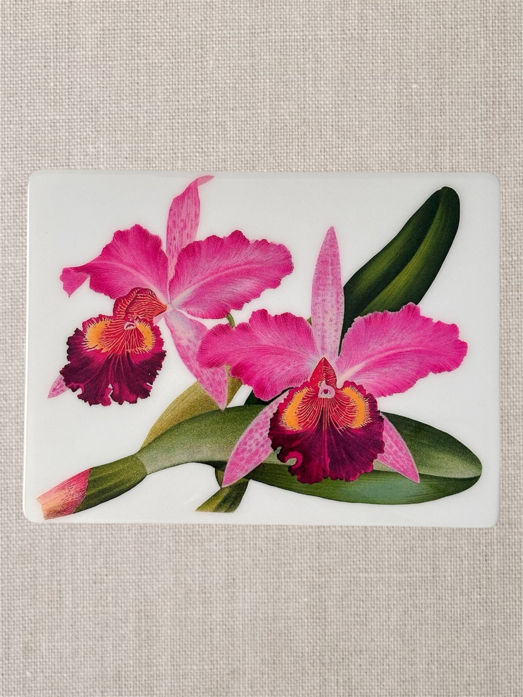 Orchid Rose Collection- Placemats