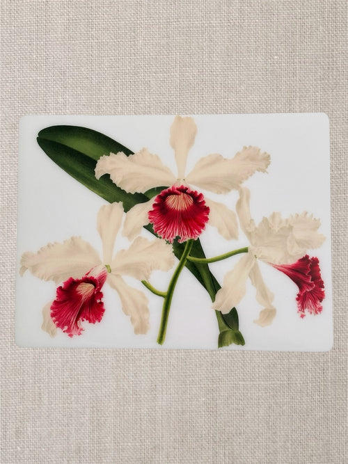 Cattleya Blanche – Handcrafted Botanical Resin Dining Set | TABLE ON TABLE