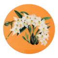 Orange  Hummingbird ; and Orchids Collector’s Lazy Susan