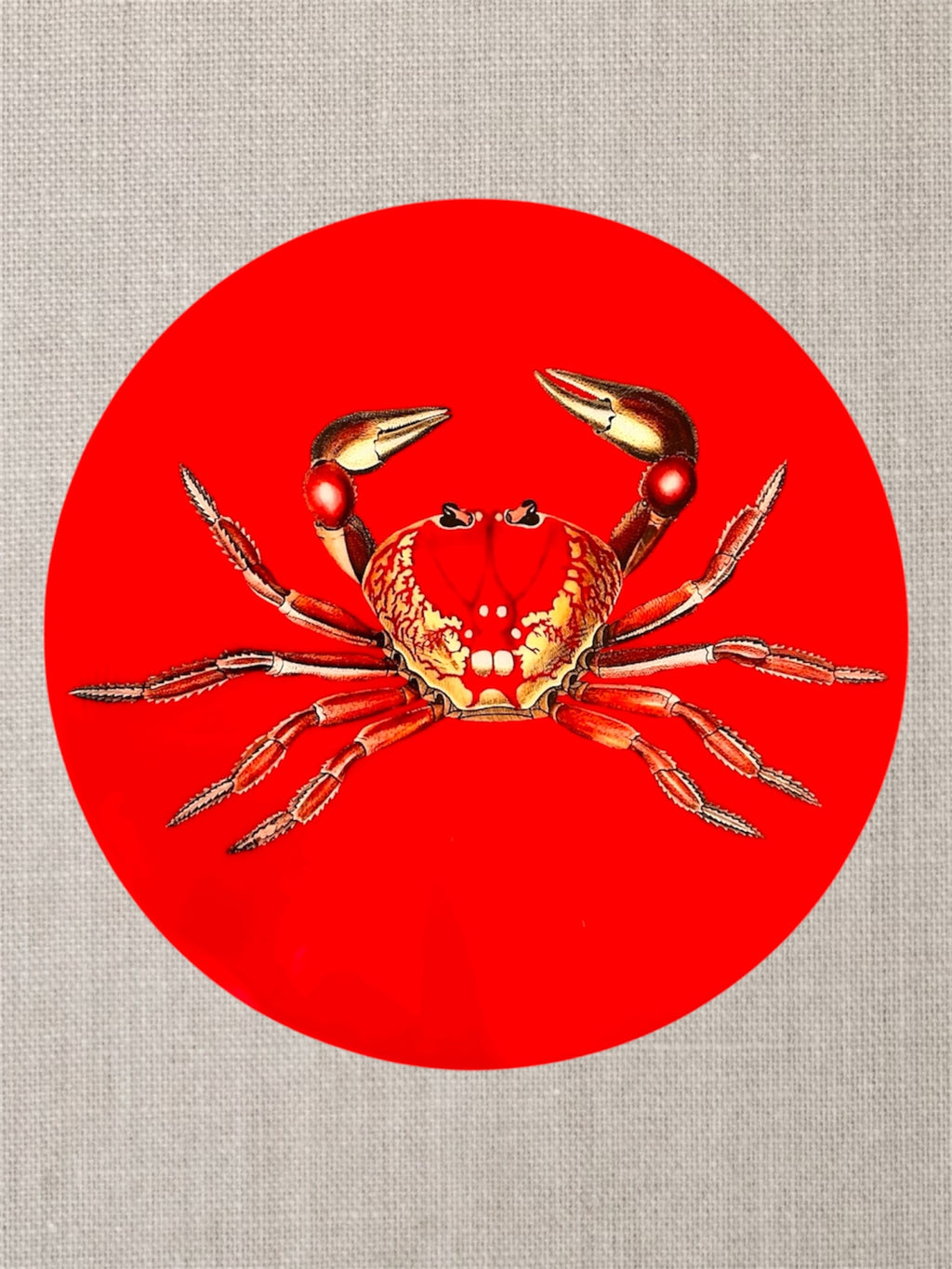 Coastal Chic: Red Crab Statement Placemats