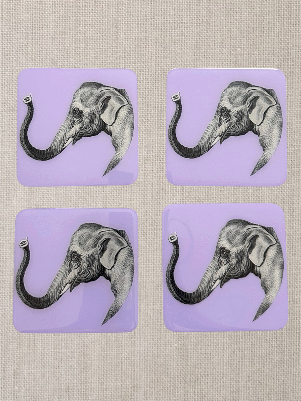 Safari  Elephant Coaster