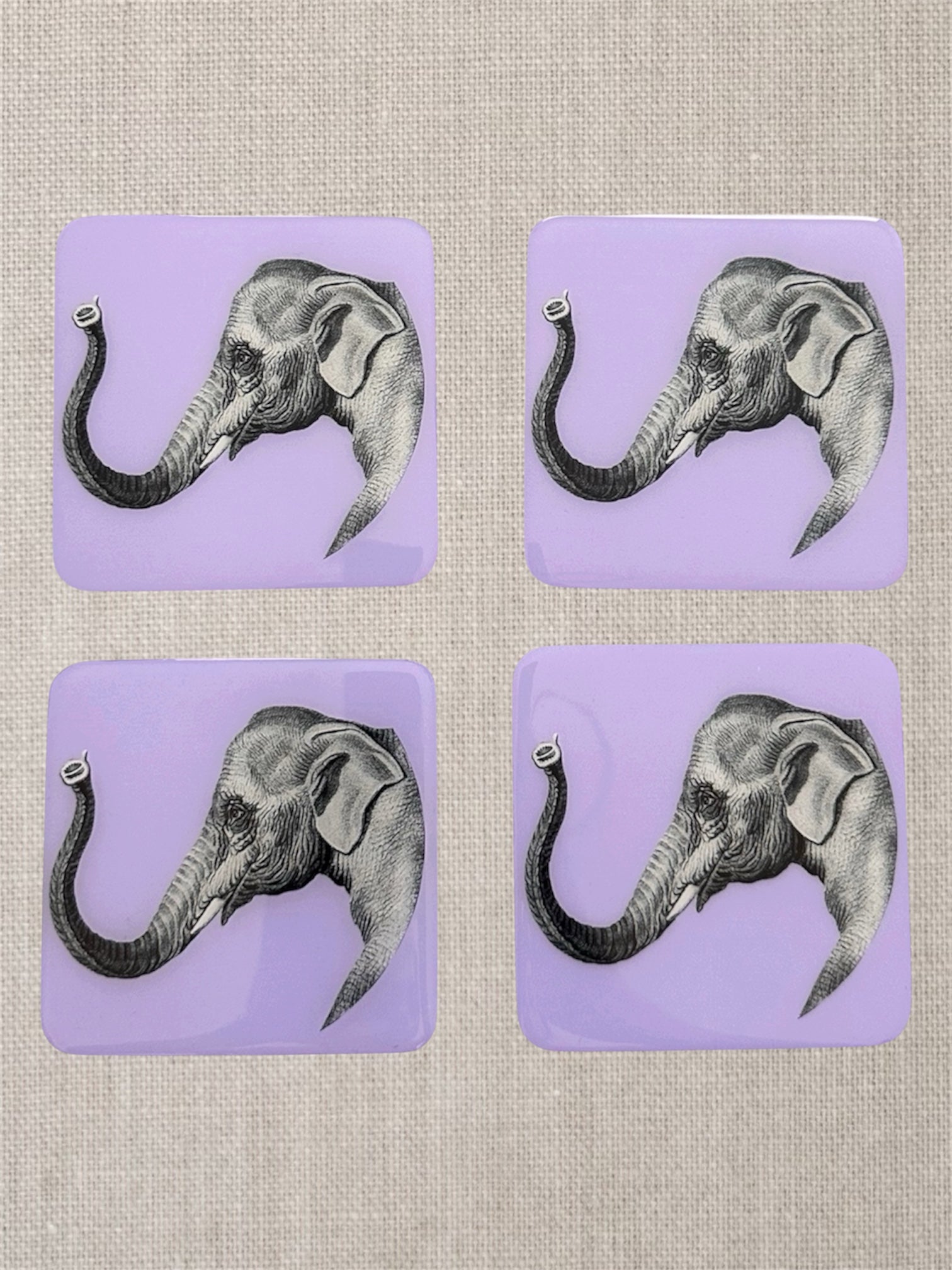 Safari  Elephant Coaster