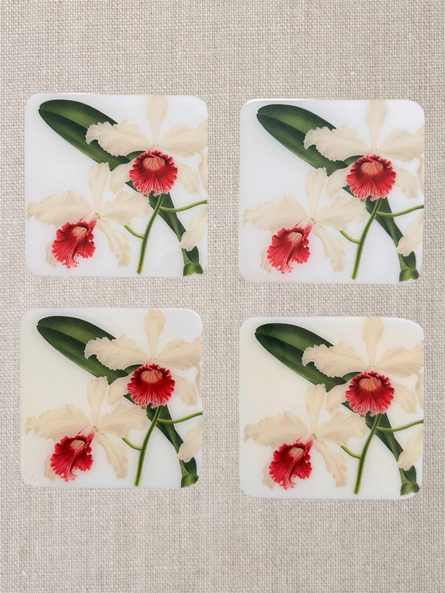 Cattleya Blanche – Handcrafted Botanical Resin Coasters | TABLE ON TABLE
