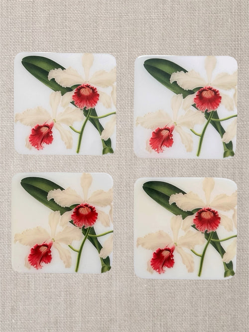 Cattleya Blanche – Handcrafted Botanical Resin Coasters | TABLE ON TABLE