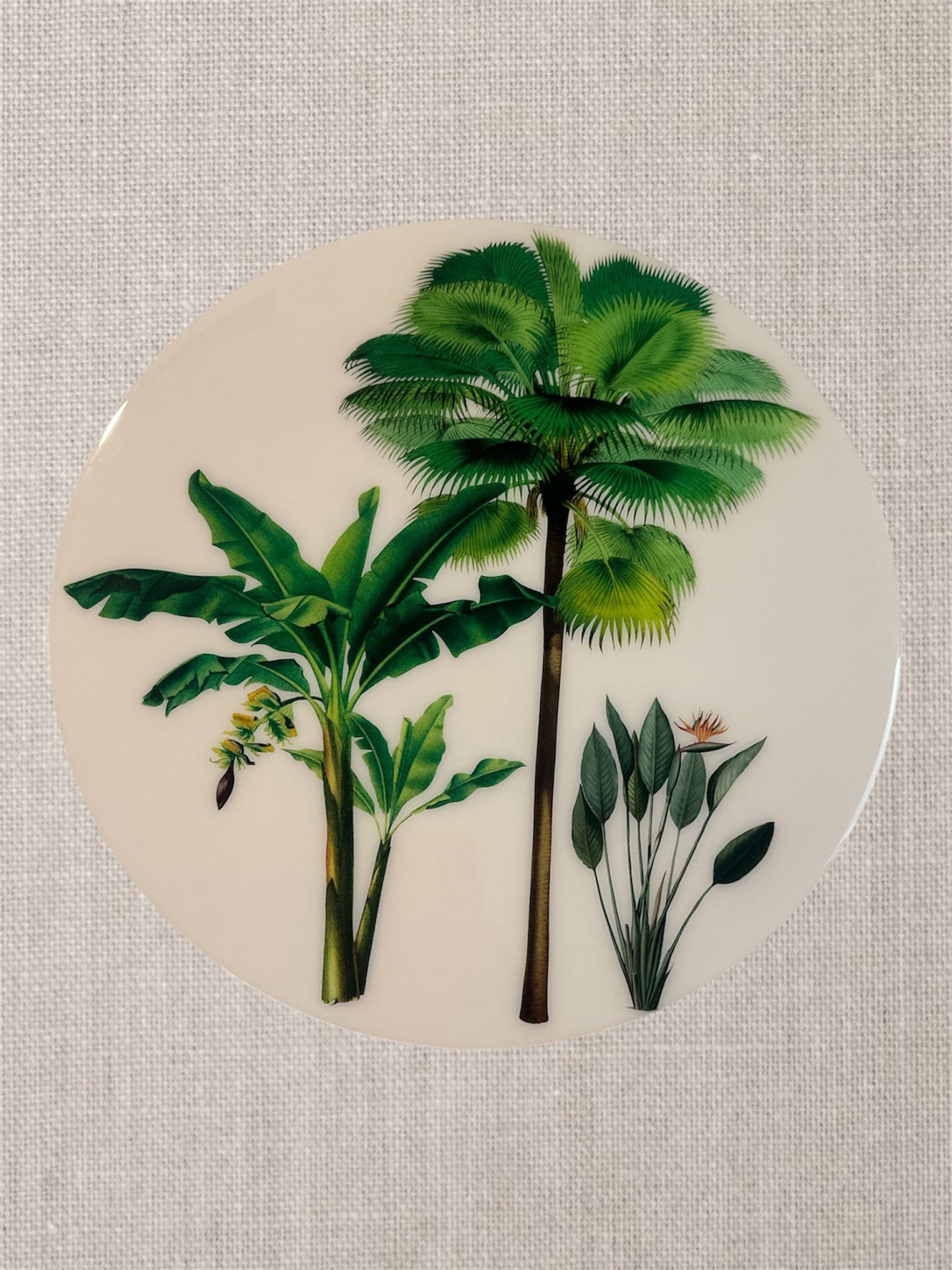 Manteles individuales redondos botánicos de palmeras tropicales