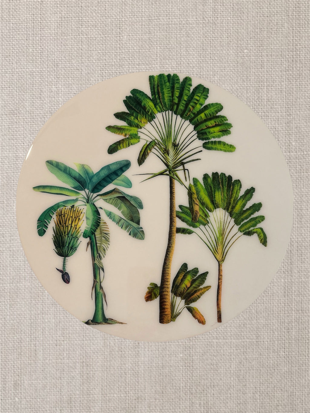 Manteles individuales redondos botánicos de palmeras tropicales