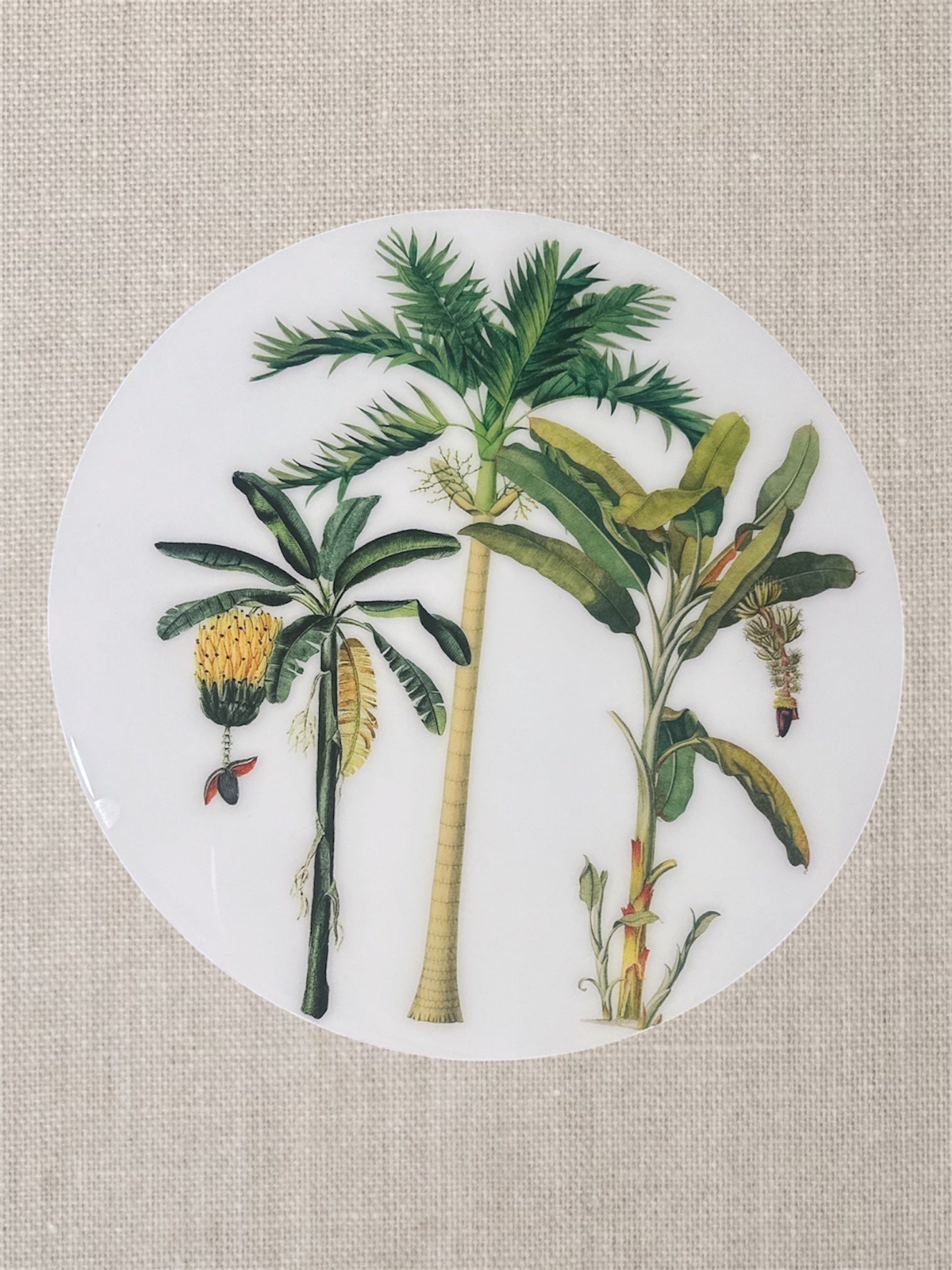 Manteles Individuales Redondos de Palmeras Tropicales Botánicas | Colección Elegancia Tropical