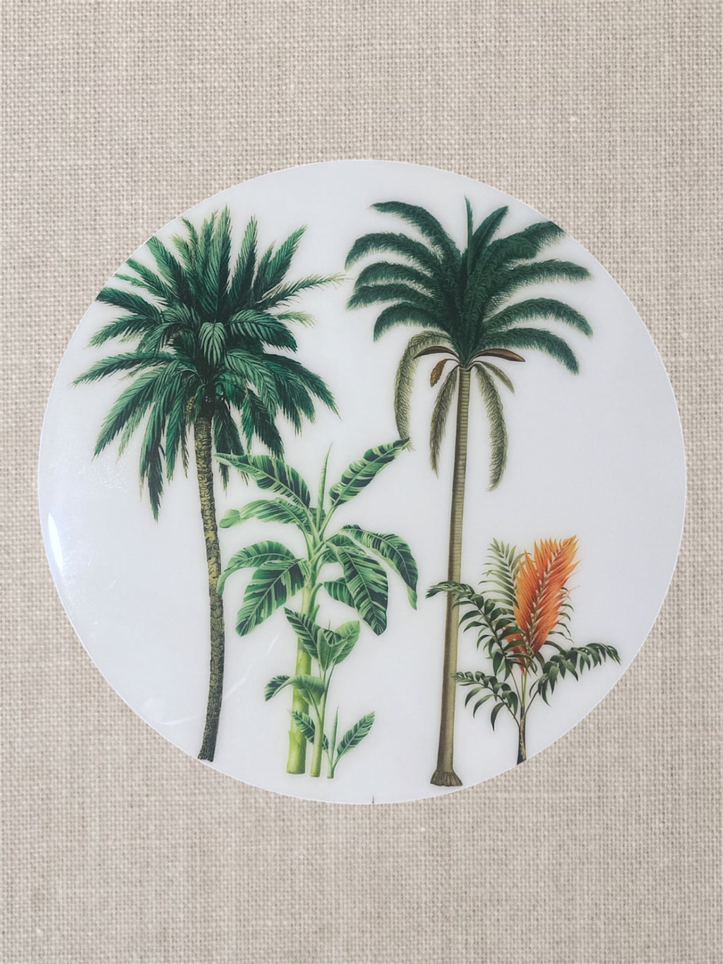 Manteles Individuales Redondos de Palmeras Tropicales Botánicas | Colección Elegancia Tropical