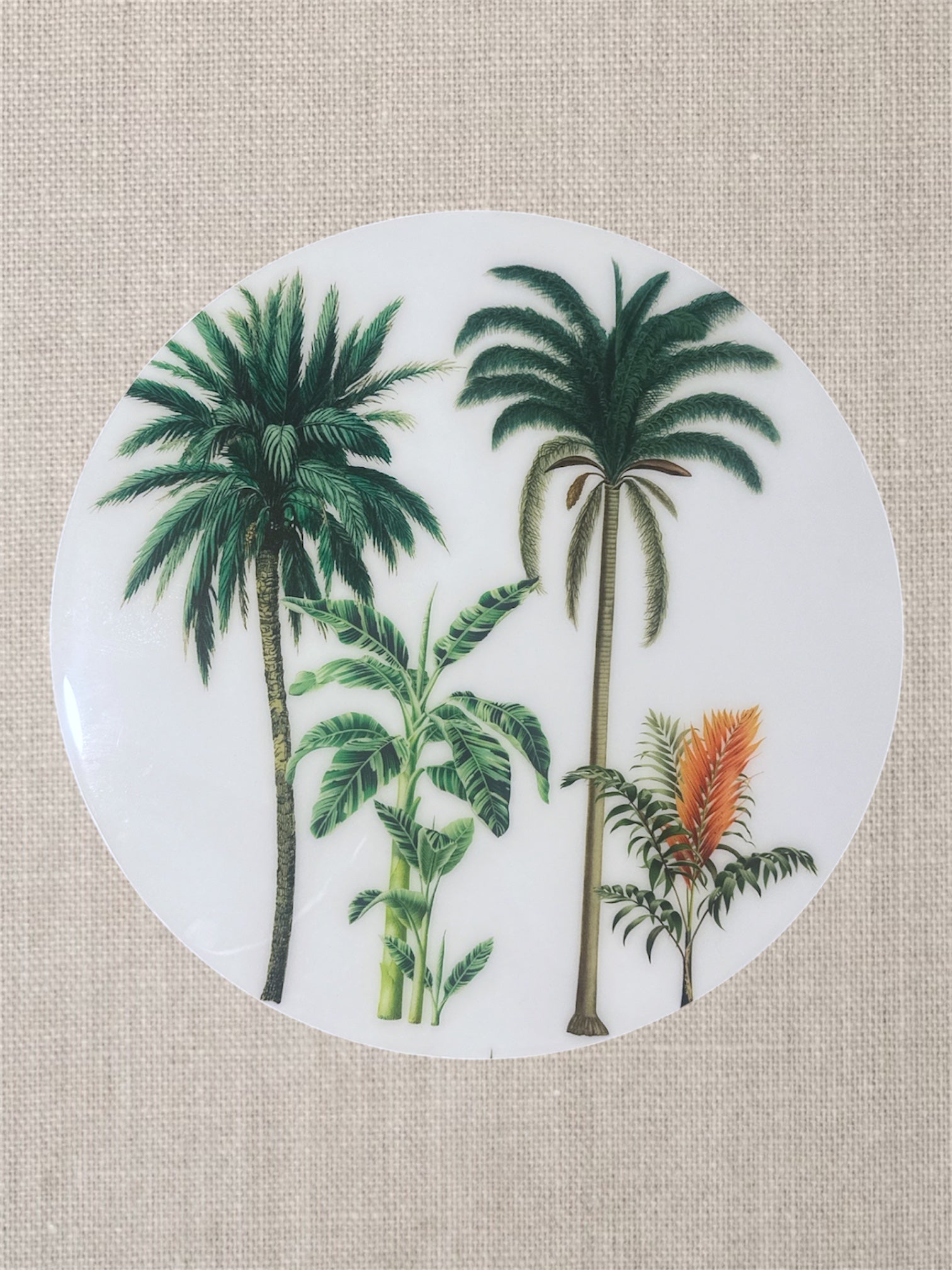 Manteles Individuales Redondos de Palmeras Tropicales Botánicas | Colección Elegancia Tropical