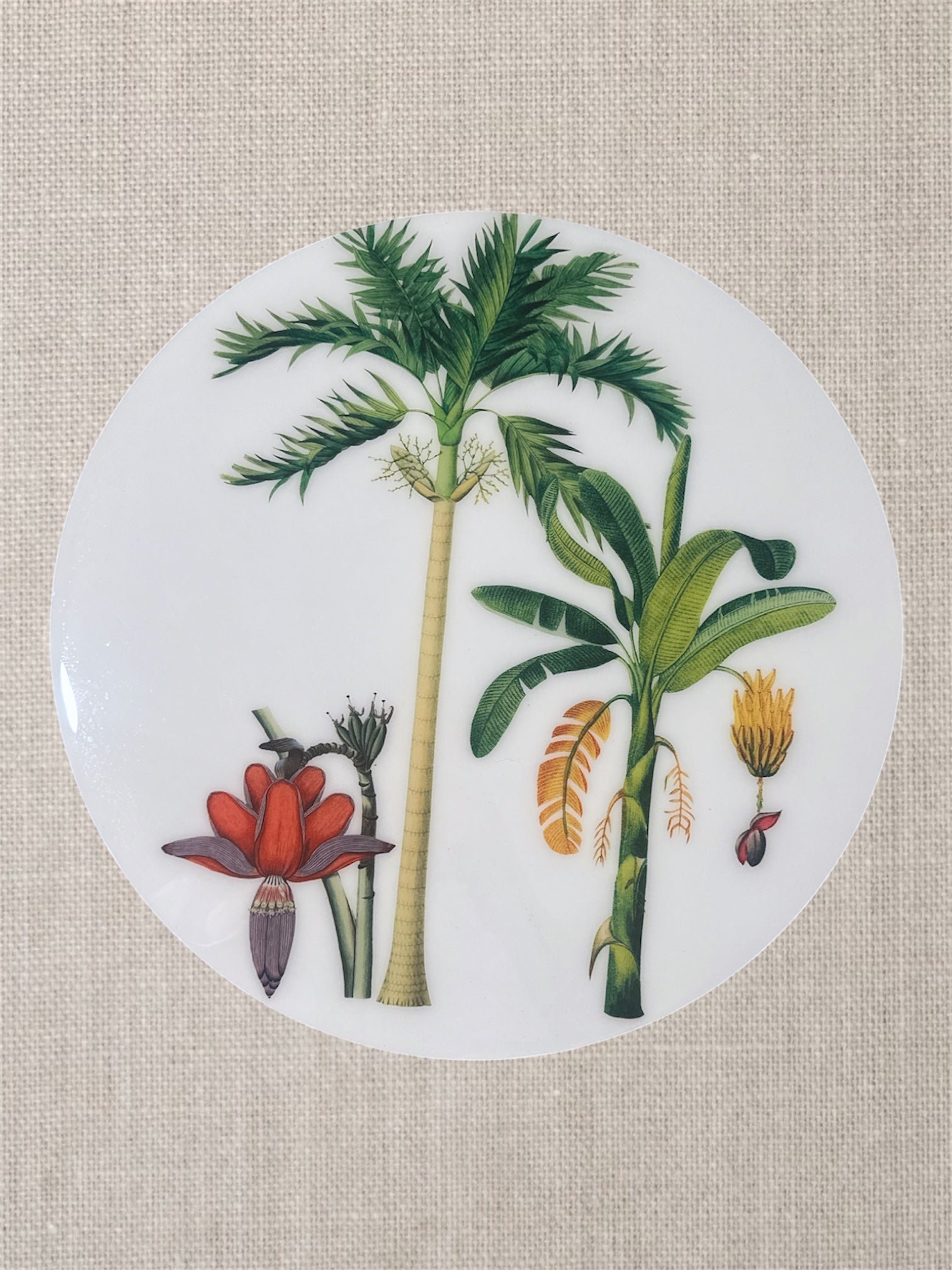Manteles Individuales Redondos de Palmeras Tropicales Botánicas | Colección Elegancia Tropical