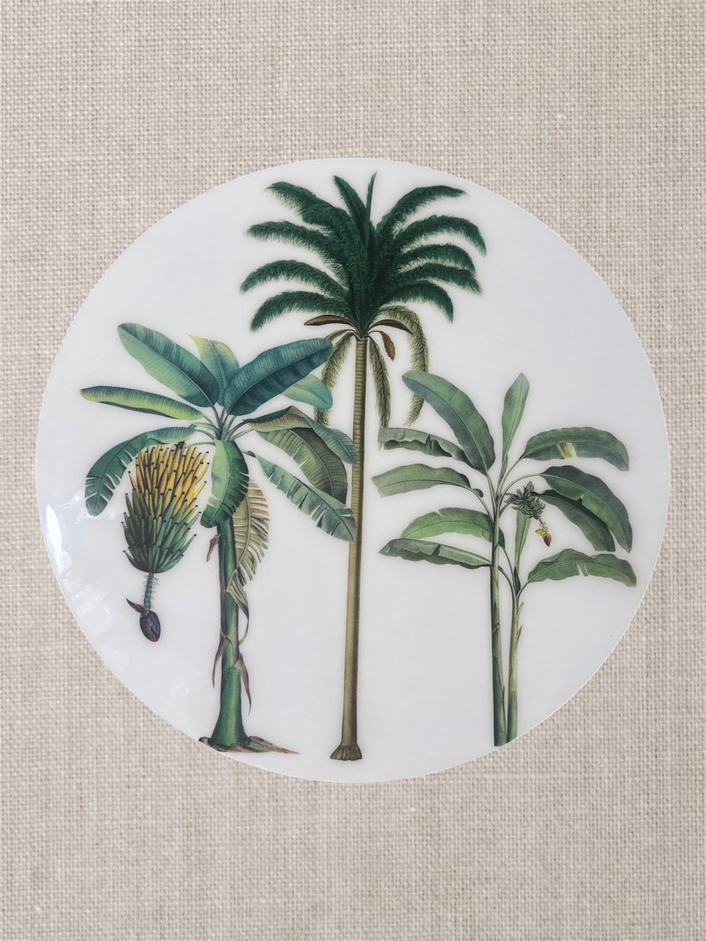 Manteles Individuales Redondos de Palmeras Tropicales Botánicas | Colección Elegancia Tropical