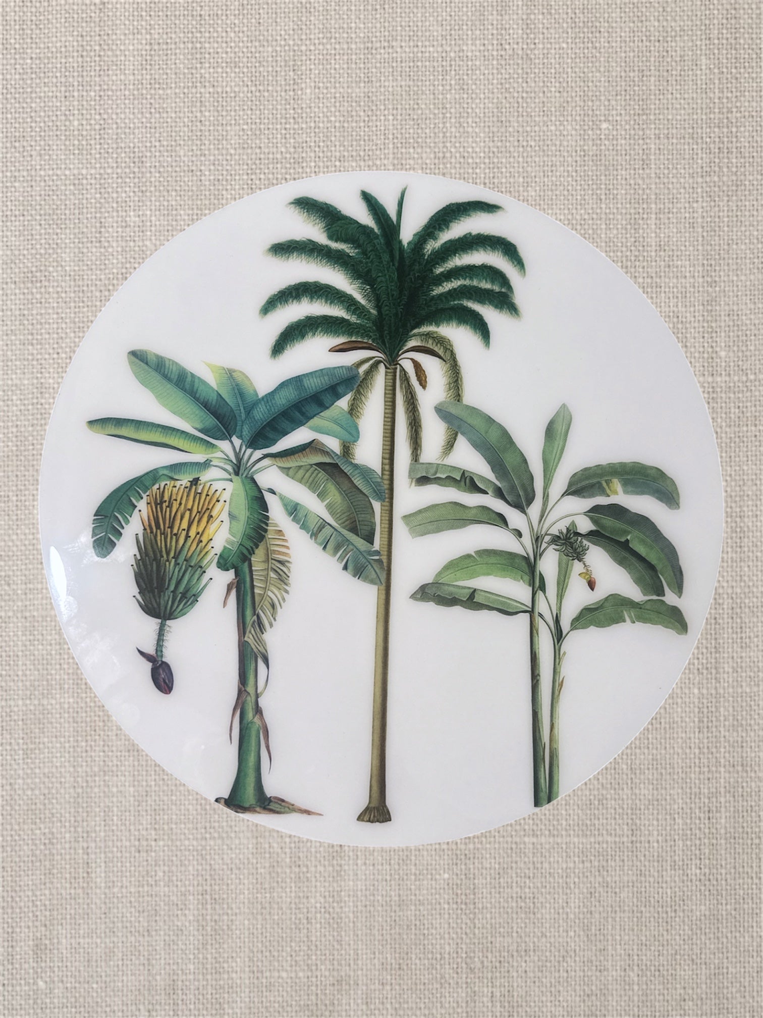 Manteles Individuales Redondos de Palmeras Tropicales Botánicas | Colección Elegancia Tropical