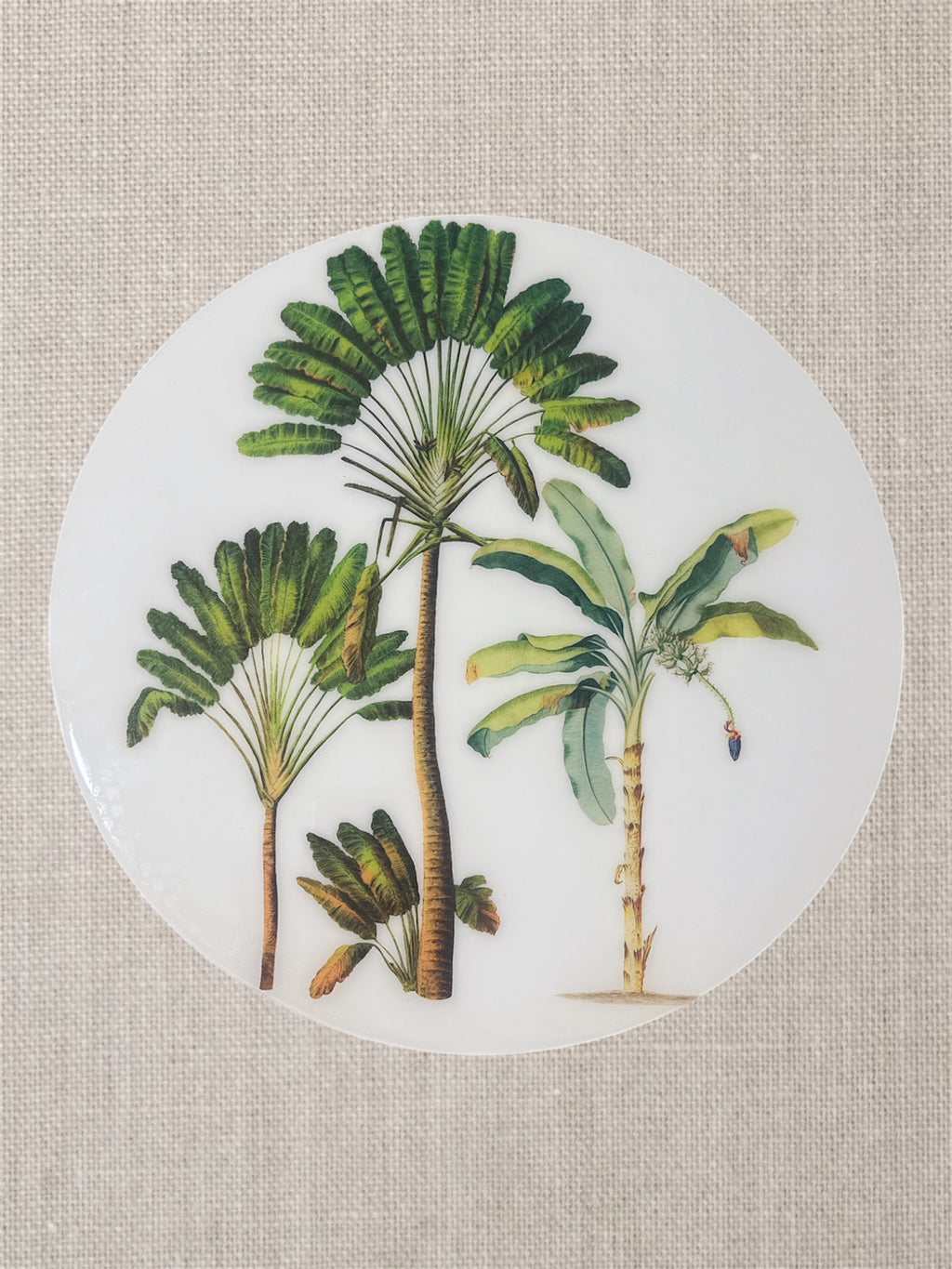 Manteles Individuales Redondos de Palmeras Tropicales Botánicas | Colección Elegancia Tropical