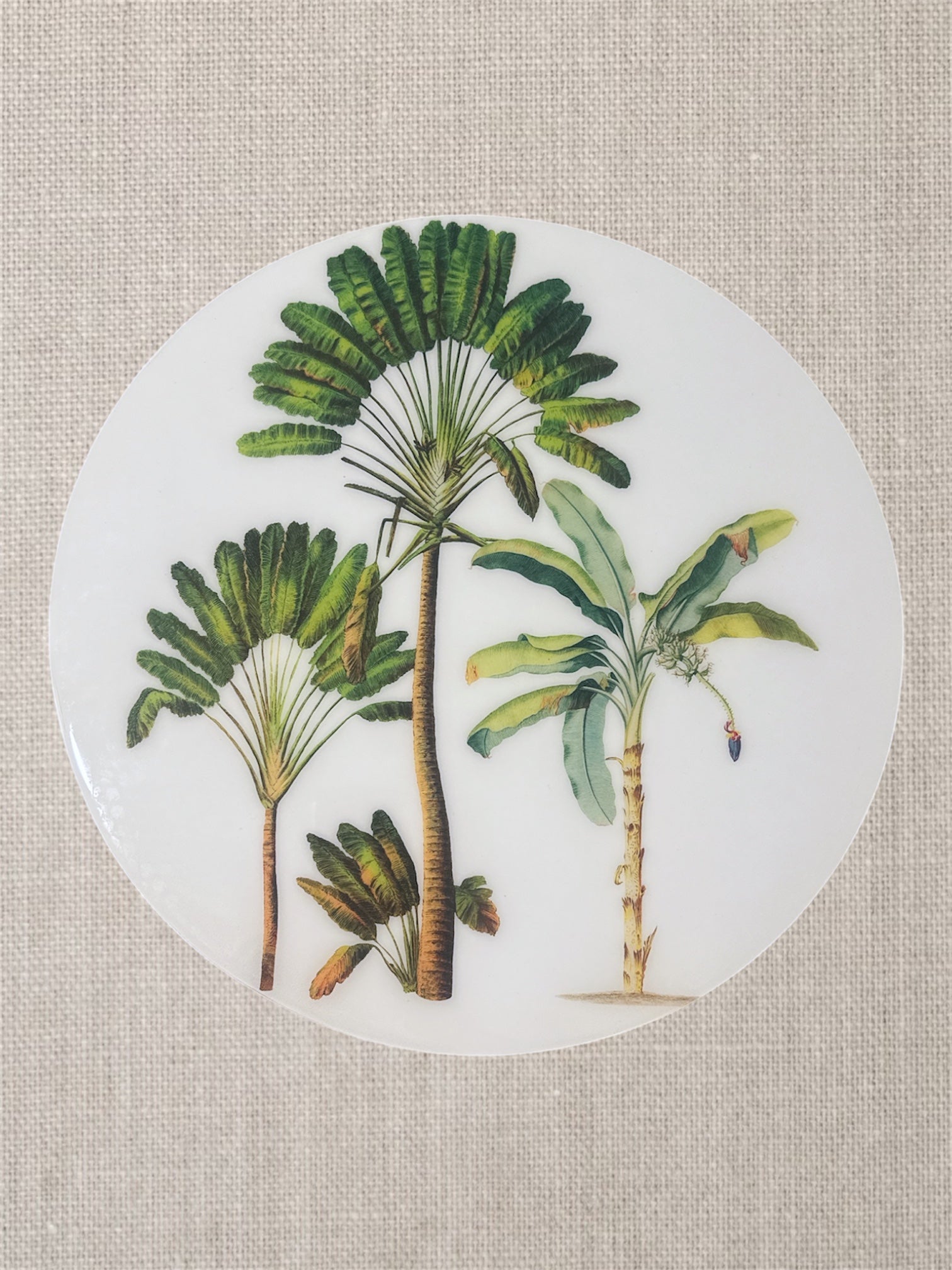 Manteles Individuales Redondos de Palmeras Tropicales Botánicas | Colección Elegancia Tropical