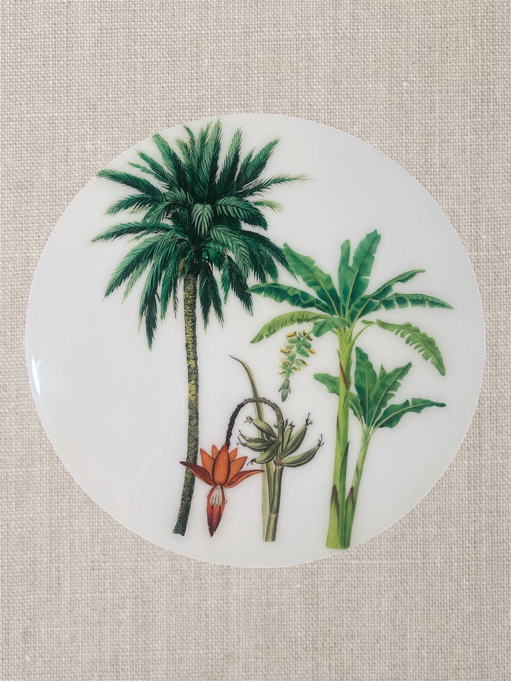Manteles Individuales Redondos de Palmeras Tropicales Botánicas | Colección Elegancia Tropical