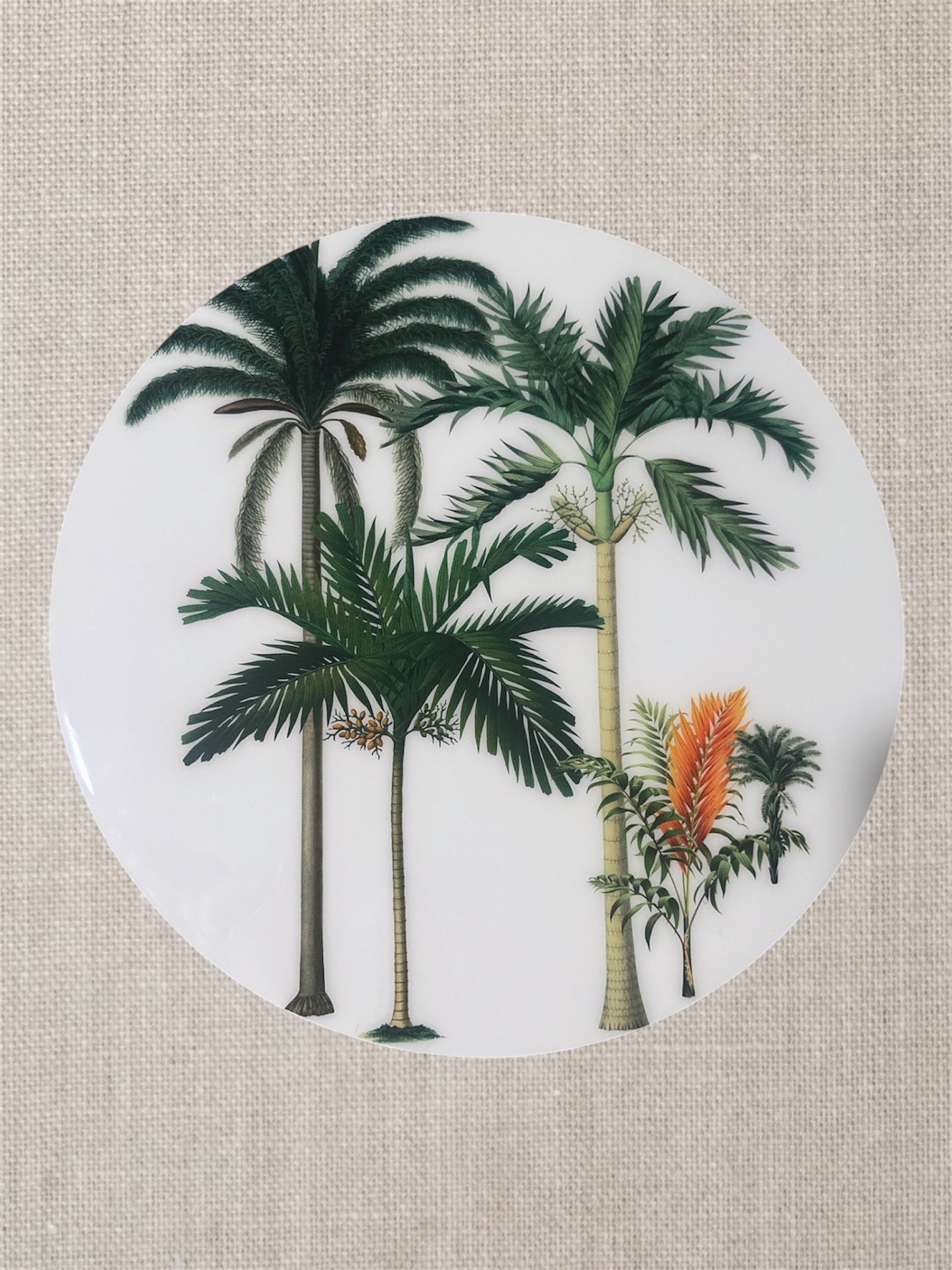 Manteles Individuales Redondos de Palmeras Tropicales Botánicas | Colección Elegancia Tropical