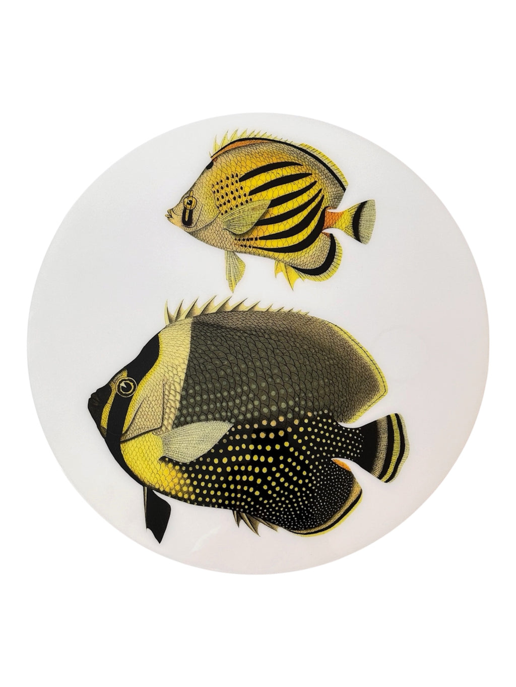 Exotic Fish Luxury Resin Lazy Susan – Handcrafted Coastal Table Art