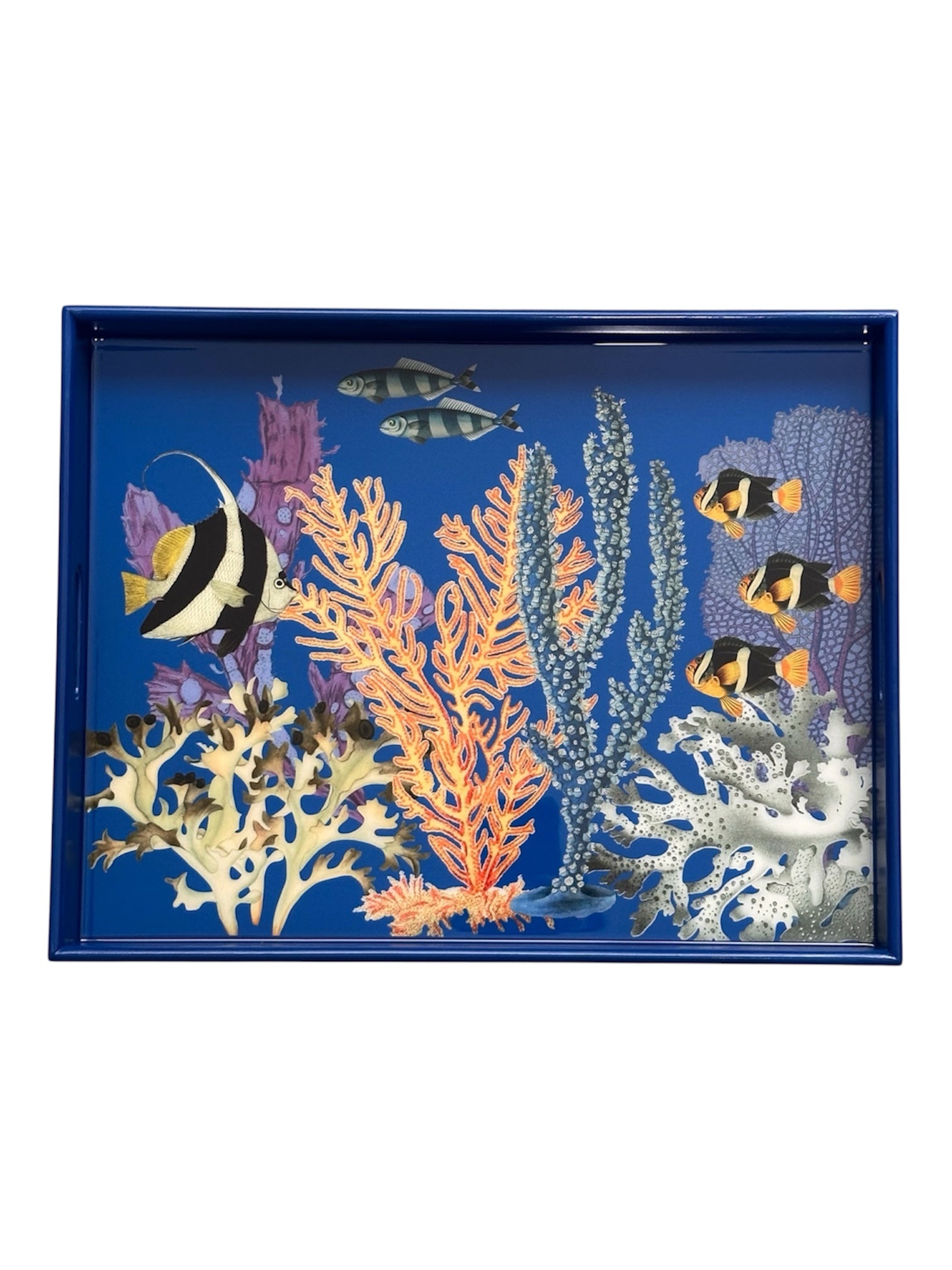 Reef Ocean Decorative Serving Tray