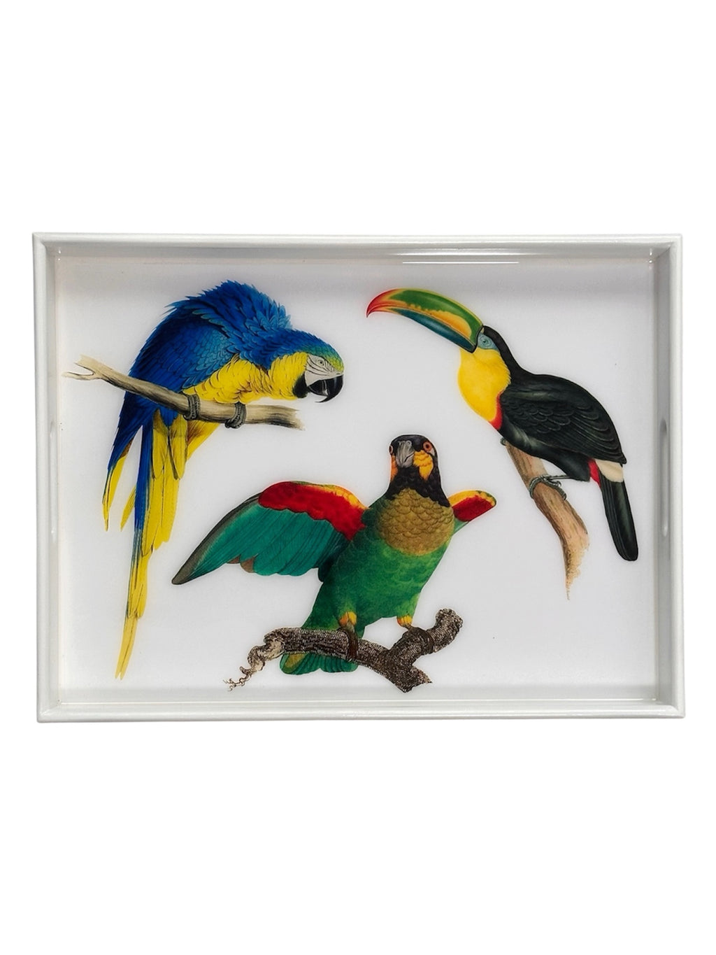 Tropical Bird Serving Tray Handcrafted Resin on Wood