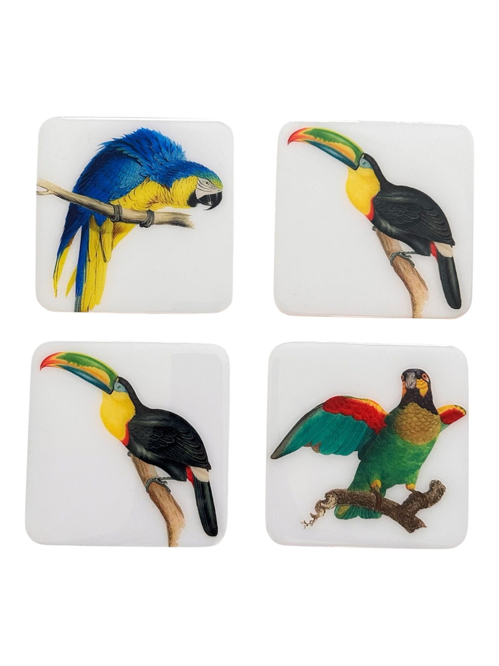Tropical Birds Luxury Coasters  Handcrafted Resin on Wood