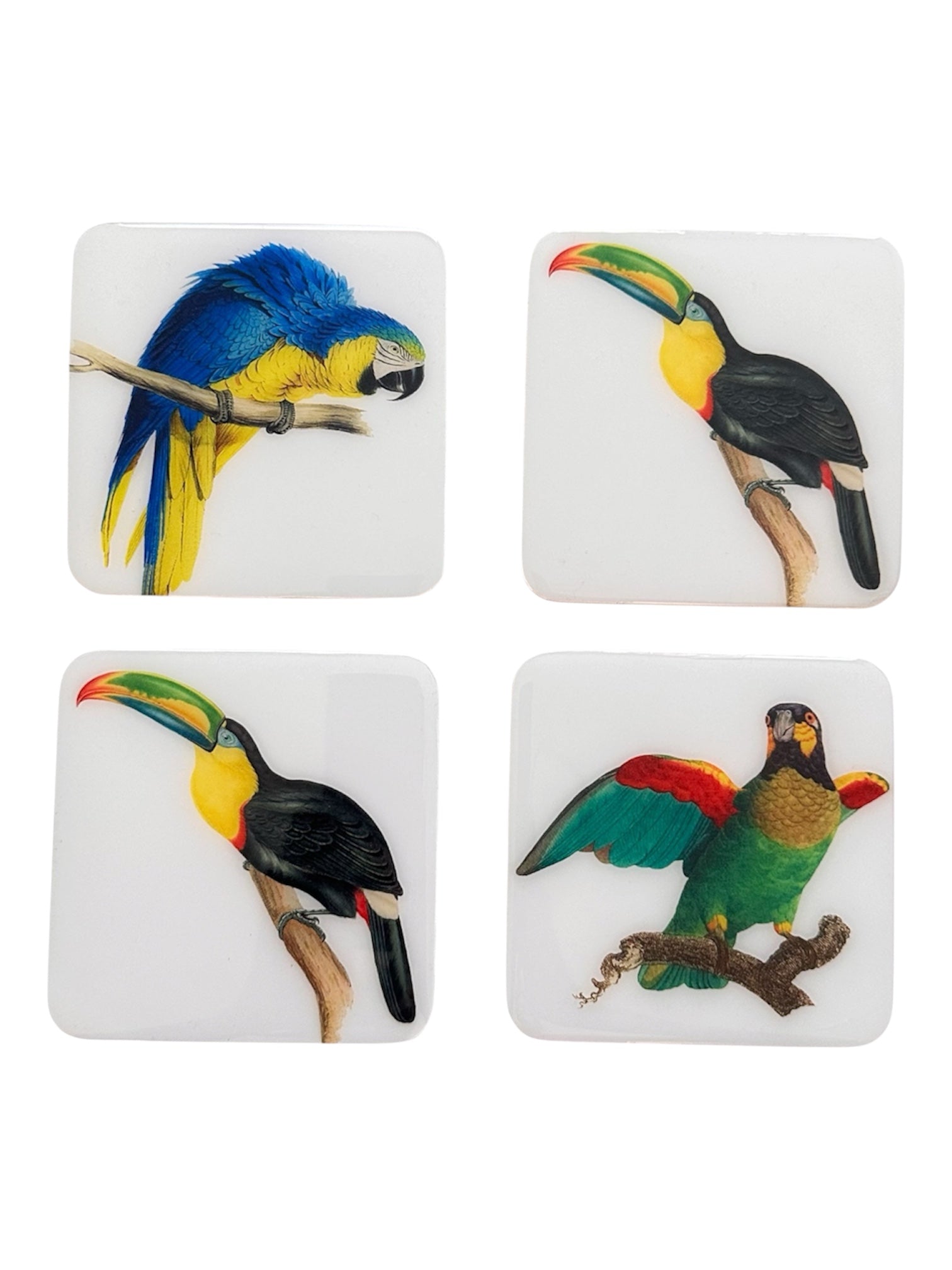 Tropical Birds Luxury Coasters  Handcrafted Resin on Wood